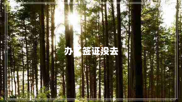 辦了簽證沒去 辦了簽證沒去