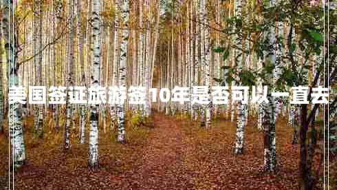 美國簽證旅游簽10年是否可以一直去