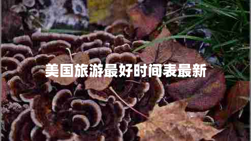 美國旅游最好時間表最新 美國旅游最好時間表最新