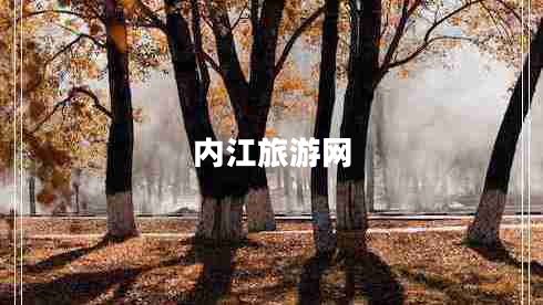 內(nèi)江旅游網(wǎng) 內(nèi)江旅游網(wǎng)