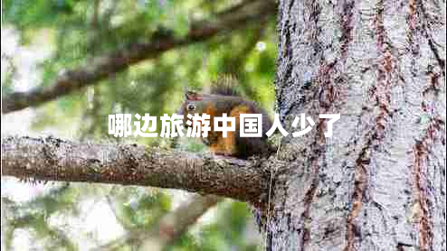 哪邊旅游中國人少了