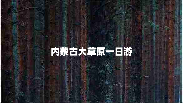 內(nèi)蒙古大草原一日游