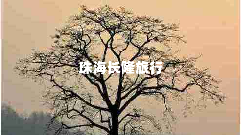 珠海長隆旅行
