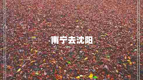 南寧去沈陽 南寧去沈陽