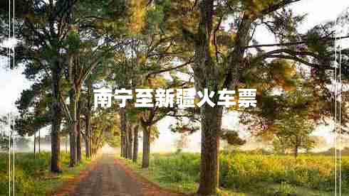 南寧至新疆火車票