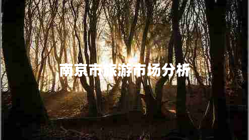 南京市旅游市場分析