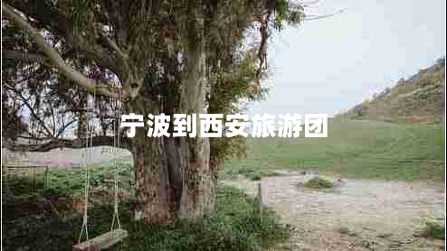 寧波到西安旅游團