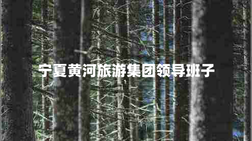 寧夏黃河旅游集團(tuán)領(lǐng)導(dǎo)班子