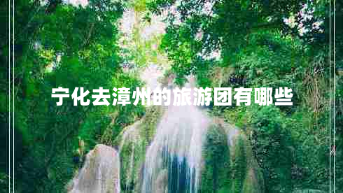 寧化去漳州的旅游團(tuán)有哪些