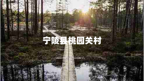 寧陵縣桃園關(guān)村 寧陵縣桃園關(guān)村