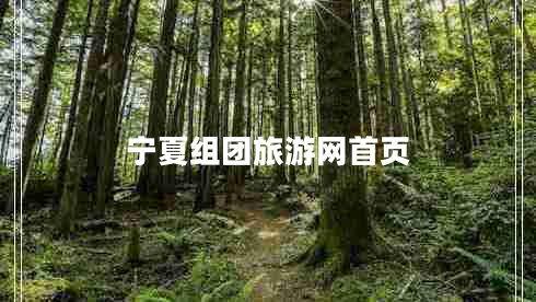 寧夏組團(tuán)旅游網(wǎng)首頁(yè)