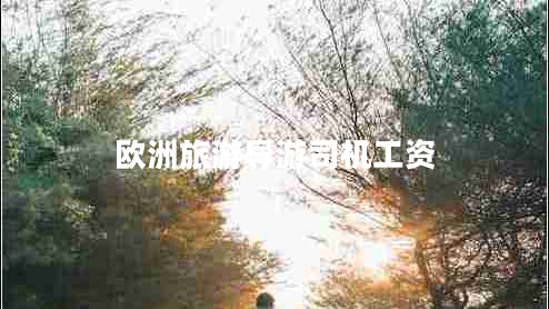 歐洲旅游導游司機工資