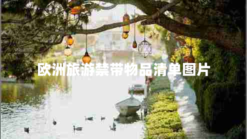 歐洲旅游禁帶物品清單圖片