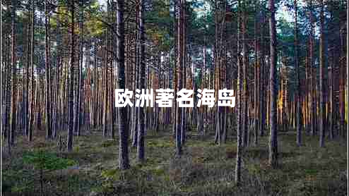 歐洲著名海島 歐洲著名海島