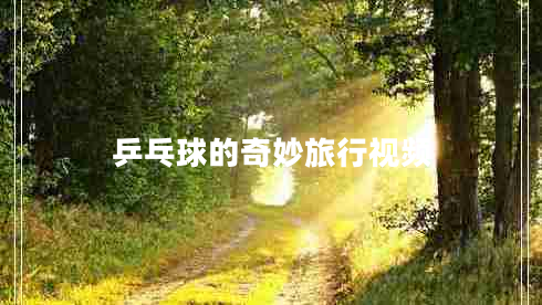 乒乓球的奇妙旅行視頻