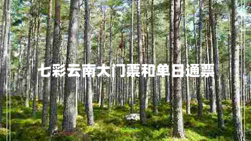 七彩云南大門票和單日通票