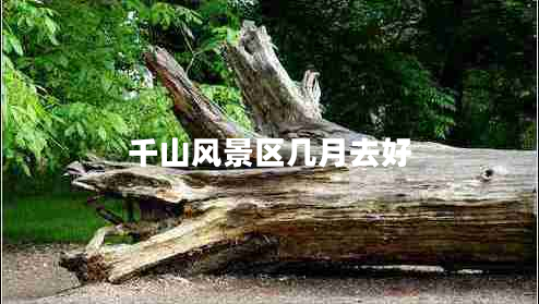 千山風(fēng)景區(qū)幾月去好 千山風(fēng)景區(qū)幾月去好