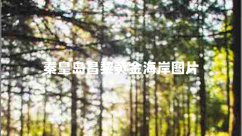 秦皇島昌黎黃金海岸圖片