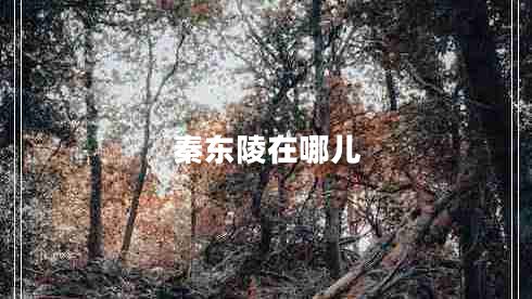 秦東陵在哪兒