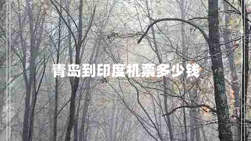 青島到印度機(jī)票多少錢