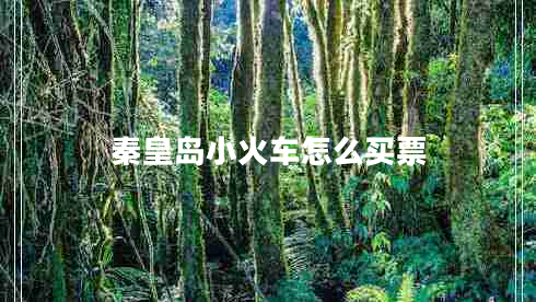 秦皇島小火車怎么買票