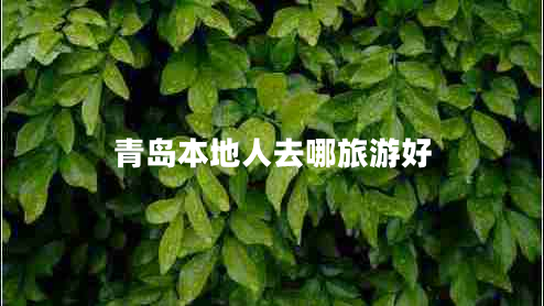 青島本地人去哪旅游好 青島本地人去哪旅游好
