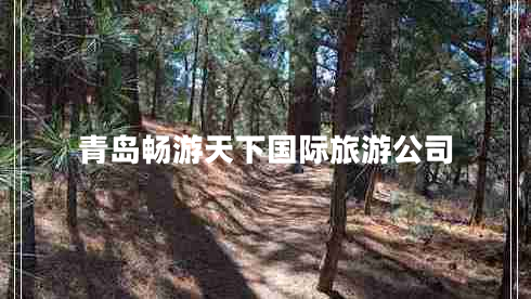 青島暢游天下國際旅游公司