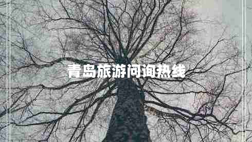 青島旅游問詢熱線