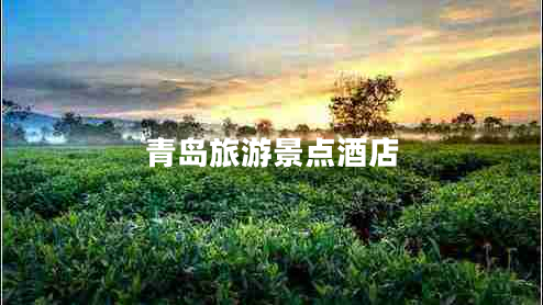 青島旅游景點(diǎn)酒店 青島旅游景點(diǎn)酒店