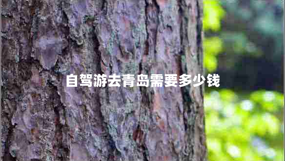 自駕游去青島需要多少錢