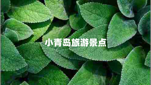 小青島旅游景點