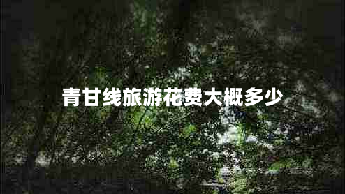 青甘線旅游花費(fèi)大概多少