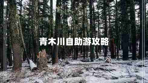 青木川自助游攻略 青木川自助游攻略