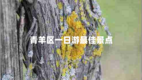 青羊區(qū)一日游最佳景點