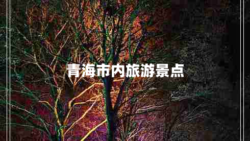 青海市內(nèi)旅游景點(diǎn)