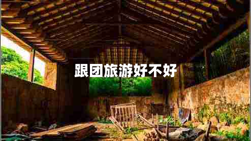 跟團(tuán)旅游好不好