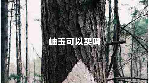 岫玉可以買嗎