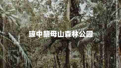瓊中黎母山森林公園 瓊中黎母山森林公園