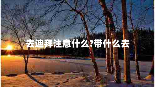 去迪拜注意什么?帶什么去 去迪拜注意什么?帶什么去