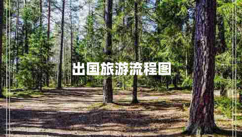 出國旅游流程圖 出國旅游流程圖