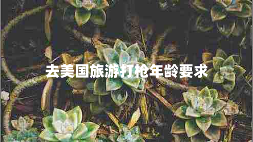 去美國旅游打槍年齡要求