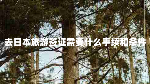 去日本旅游簽證需要什么手續(xù)和條件