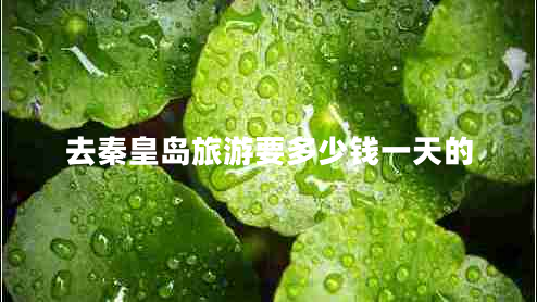 去秦皇島旅游要多少錢一天的