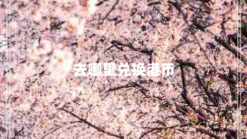 去哪里兌換港幣