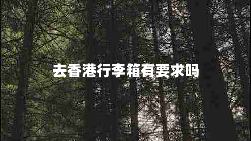 去香港行李箱有要求嗎