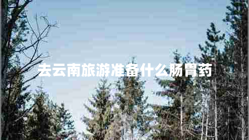 去云南旅游準備什么腸胃藥