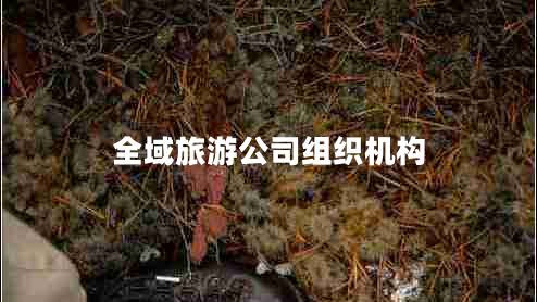 全域旅游公司組織機(jī)構(gòu)