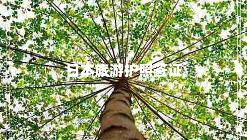 日本旅游護(hù)照簽證