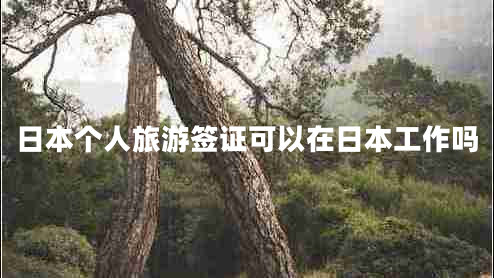 日本個(gè)人旅游簽證可以在日本工作嗎