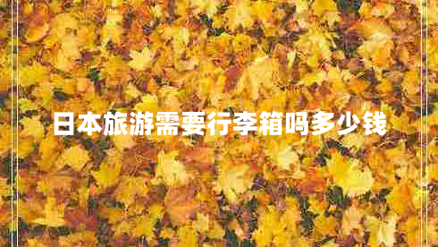 日本旅游需要行李箱嗎多少錢 日本旅游需要行李箱嗎多少錢